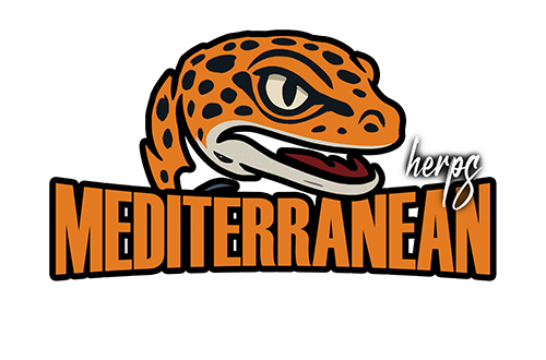 Mediterranean Herps